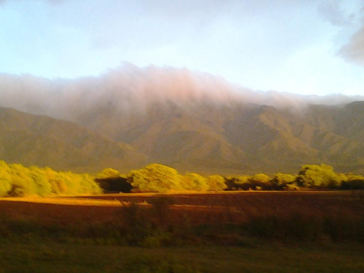 הוילה ויז'ה לאס רוסאס Complejo Valle De Las Rosas מראה חיצוני תמונה